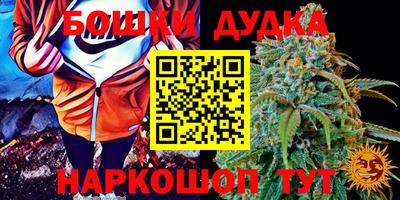 ГАЛЛЮЦИНОГЕННЫЕ ГРИБЫ Ипатово