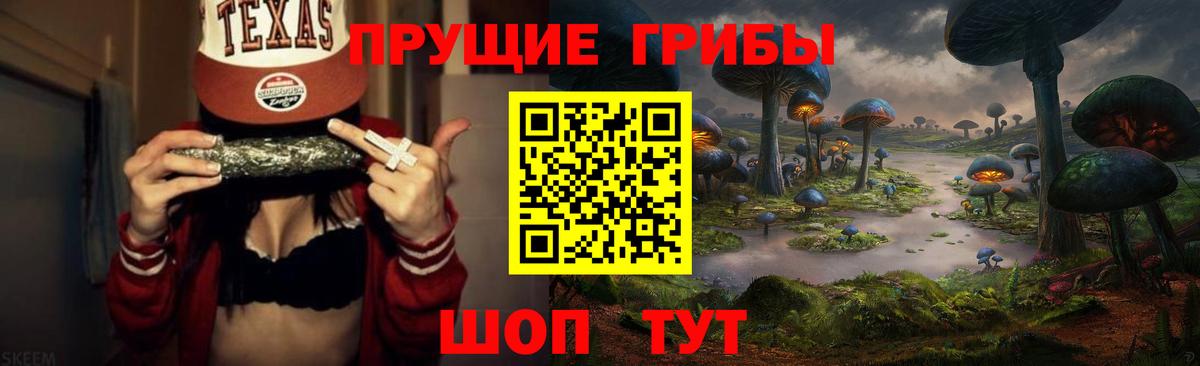 Курск  Галлюциногенные грибы Magic Shrooms  Псилоцибиновые грибы Psilocybine cubensis  Вход с VPN 
