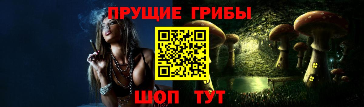 Галлюциногенные грибы мицелий Курск