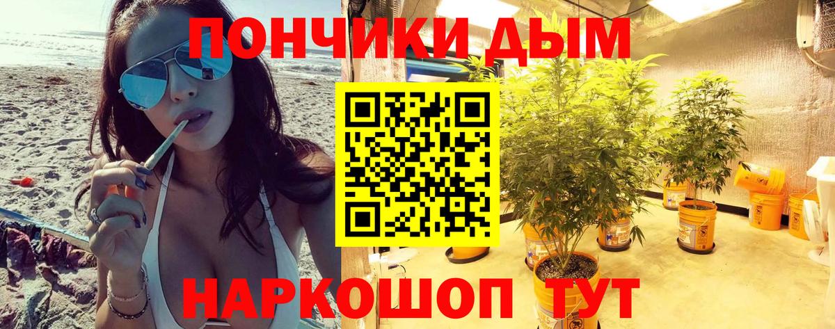 Бошки марихуана план  Каннабис гибрид  Вход с VPN  Курск  Конопля Amnesia 